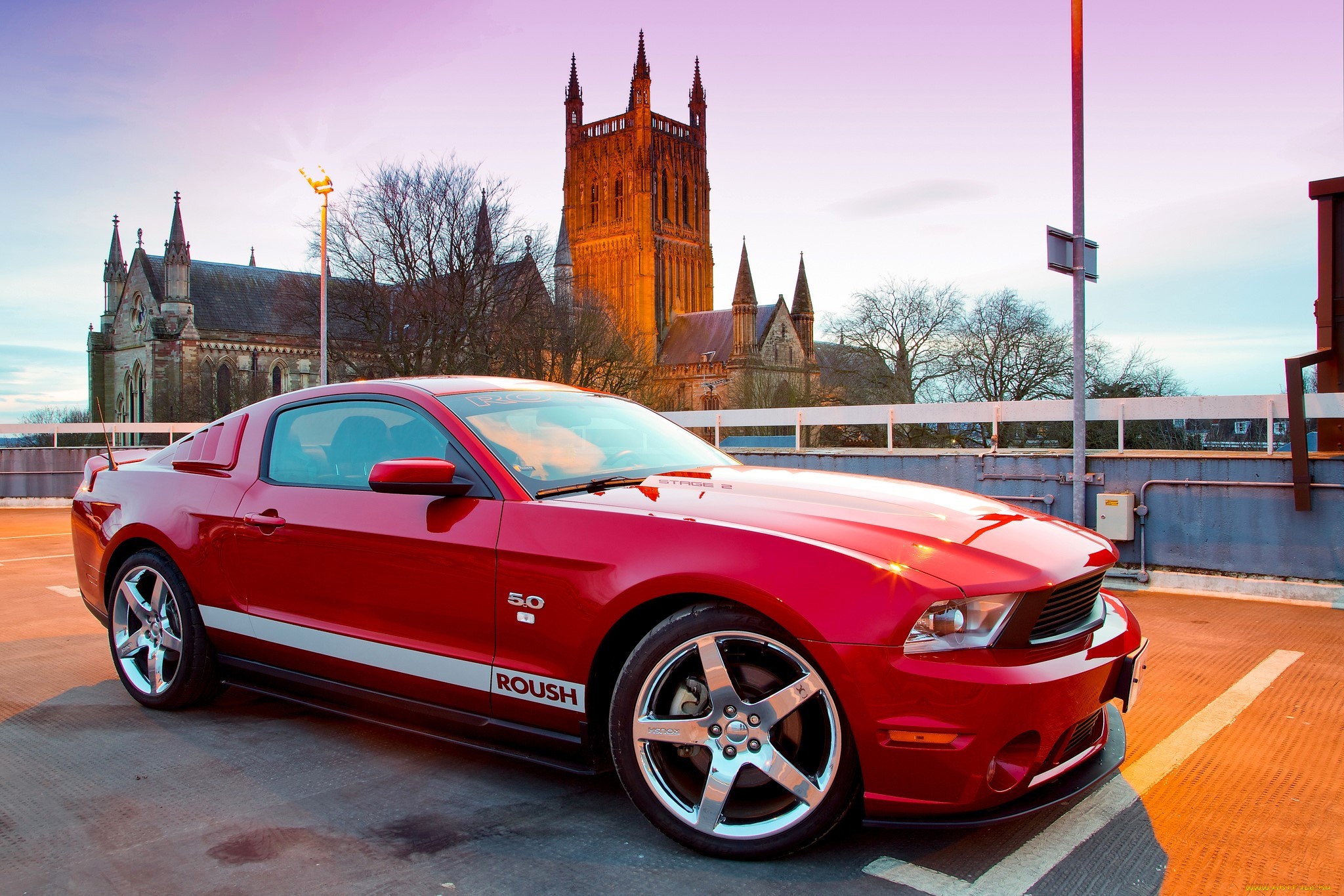 , mustang, , , , 